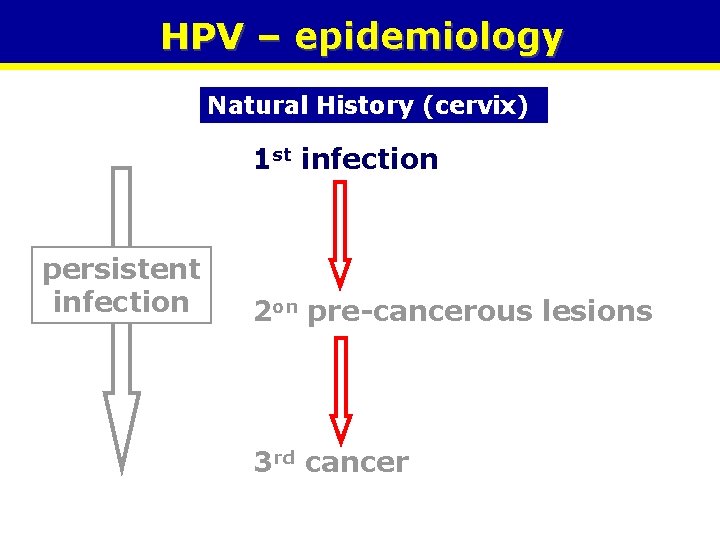 HPV – epidemiology Natural History (cervix) 1 st infection persistent infection 2 on pre-cancerous