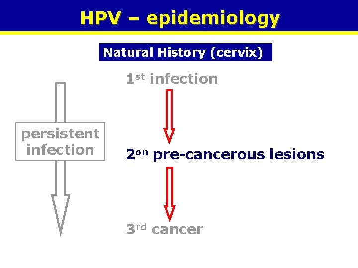 HPV – epidemiology Natural History (cervix) 1 st infection persistent infection 2 on pre-cancerous