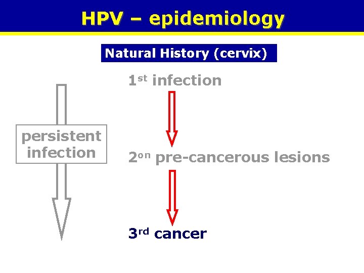 HPV – epidemiology Natural History (cervix) 1 st infection persistent infection 2 on pre-cancerous