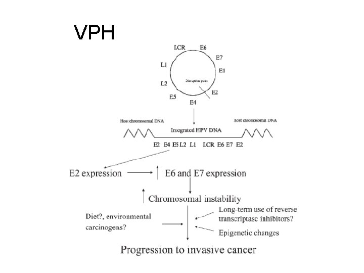 VPH 