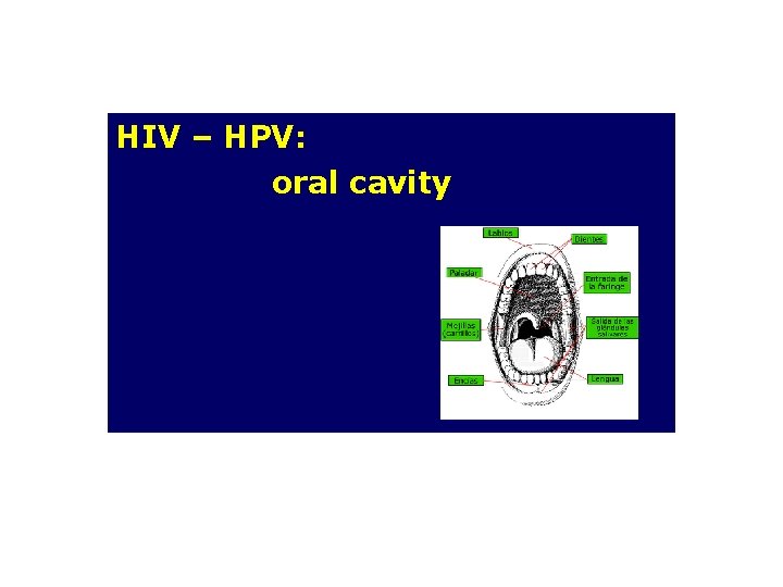 HIV – HPV: oral cavity 