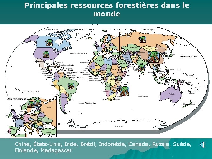 Principales ressources forestières dans le monde Chine, États-Unis, Inde, Brésil, Indonésie, Canada, Russie, Suède,