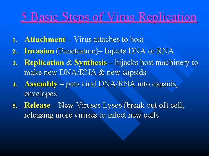 5 Basic Steps of Virus Replication 1. 2. 3. 4. 5. Attachment – Virus