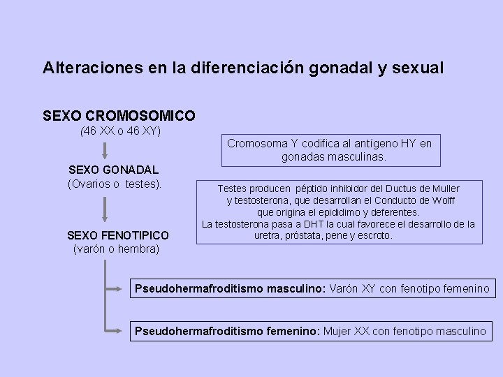 Alteraciones en la diferenciación gonadal y sexual SEXO CROMOSOMICO (46 XX o 46 XY)