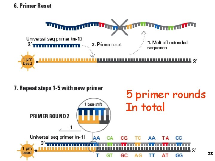 5 primer rounds In total 38 