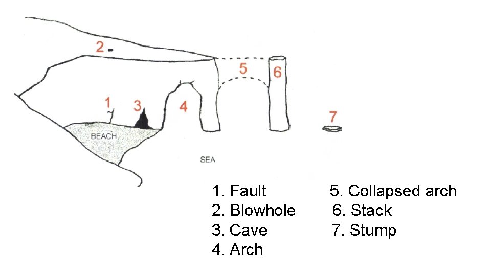1. Fault 2. Blowhole 3. Cave 4. Arch 5. Collapsed arch 6. Stack 7.