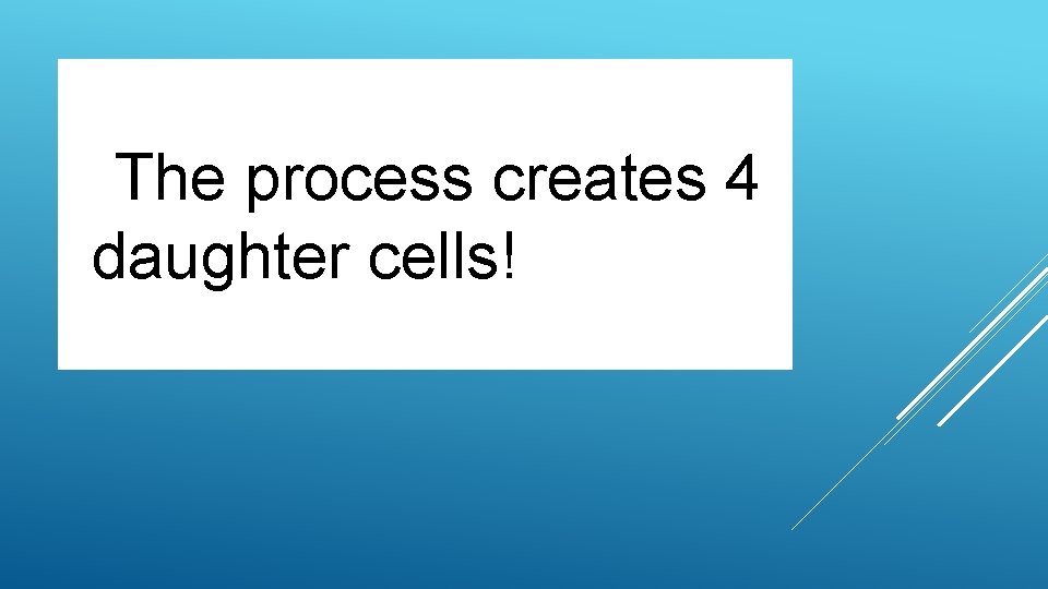  The process creates 4 daughter cells! 