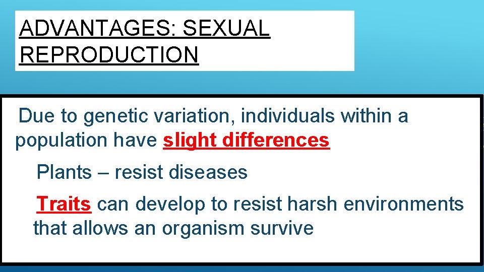 ADVANTAGES: SEXUAL REPRODUCTION Due to genetic variation, individuals within a population have slight differences