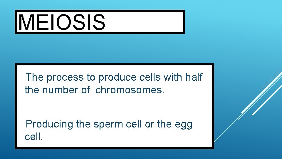 MEIOSIS The process to produce cells with half the number of chromosomes. Producing cell.