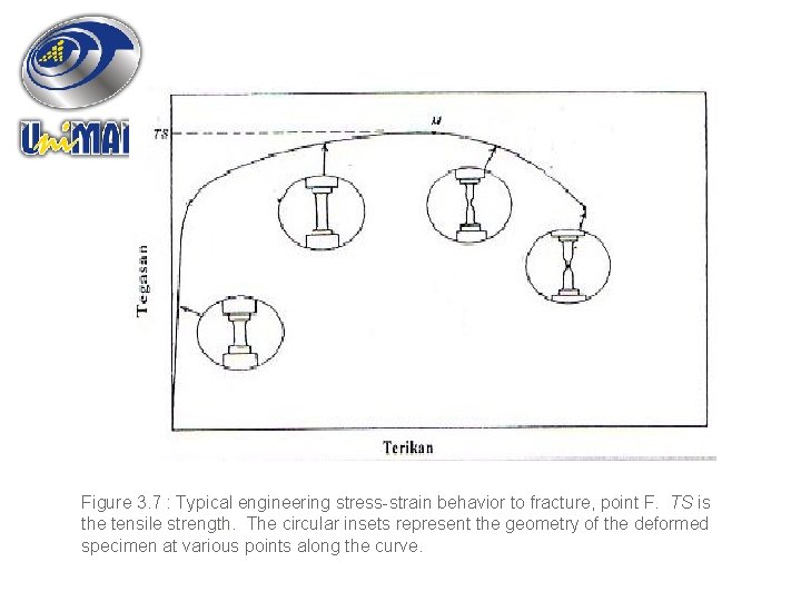 Figure 3. 7 : Typical engineering stress-strain behavior to fracture, point F. TS is