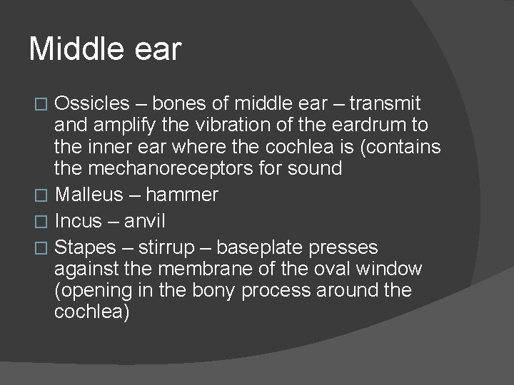 Middle ear Ossicles – bones of middle ear – transmit and amplify the vibration