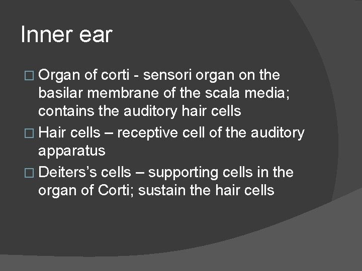 Inner ear � Organ of corti - sensori organ on the basilar membrane of