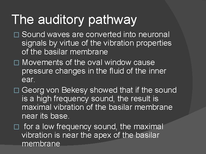 The auditory pathway Sound waves are converted into neuronal signals by virtue of the
