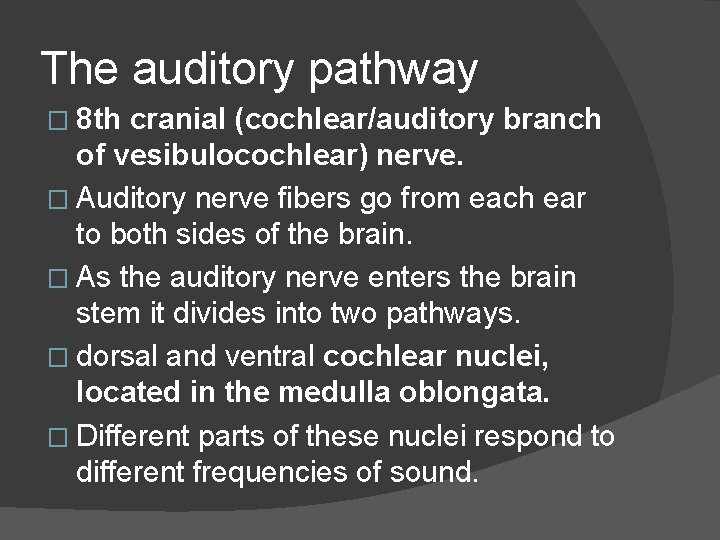 The auditory pathway � 8 th cranial (cochlear/auditory branch of vesibulocochlear) nerve. � Auditory