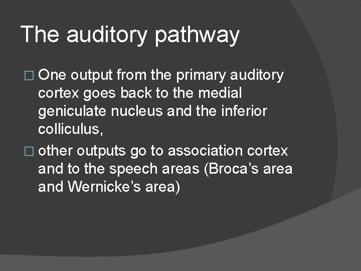 The auditory pathway � One output from the primary auditory cortex goes back to