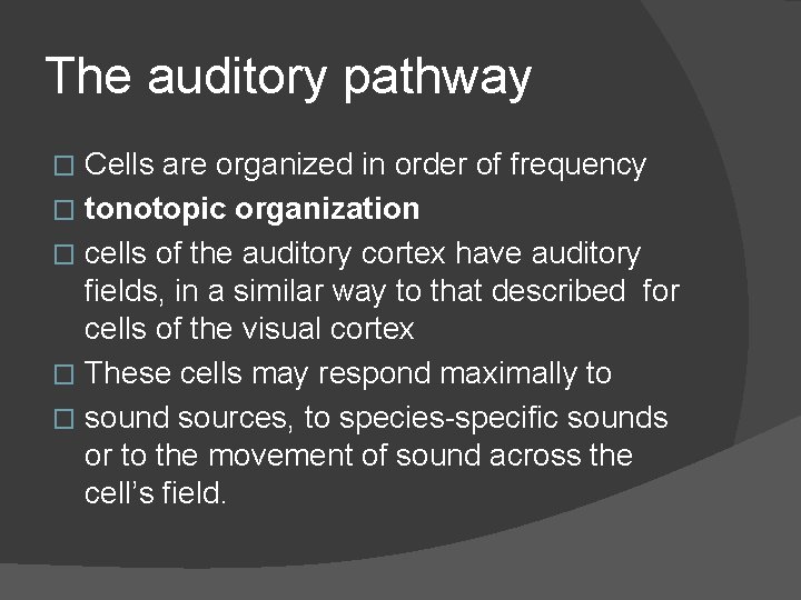 The auditory pathway Cells are organized in order of frequency � tonotopic organization �