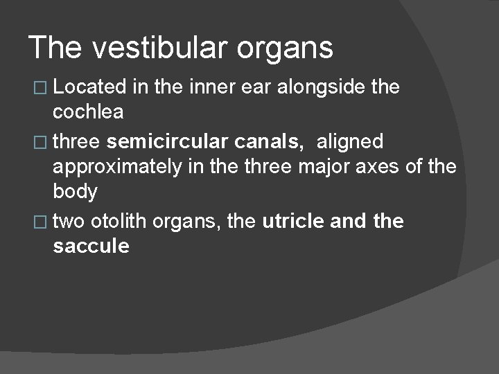 The vestibular organs � Located in the inner ear alongside the cochlea � three