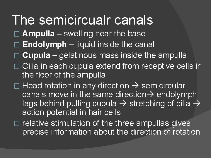 The semicircualr canals Ampulla – swelling near the base � Endolymph – liquid inside