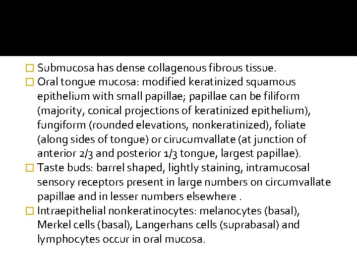 � Submucosa has dense collagenous fibrous tissue. � Oral tongue mucosa: modified keratinized squamous � Submucosa has dense collagenous fibrous tissue. � Oral tongue mucosa: modified keratinized squamous