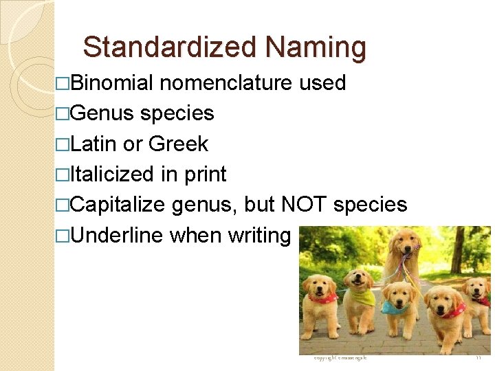Standardized Naming �Binomial nomenclature used �Genus species �Latin or Greek �Italicized in print �Capitalize Standardized Naming �Binomial nomenclature used �Genus species �Latin or Greek �Italicized in print �Capitalize