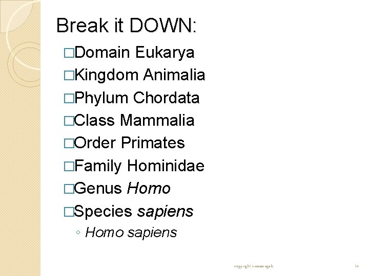Break it DOWN: �Domain Eukarya �Kingdom Animalia �Phylum Chordata �Class Mammalia �Order Primates �Family Break it DOWN: �Domain Eukarya �Kingdom Animalia �Phylum Chordata �Class Mammalia �Order Primates �Family