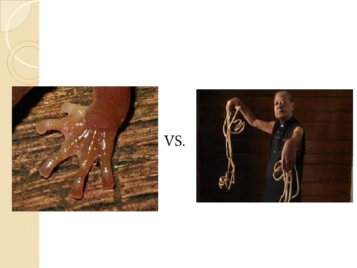 VS. VS.
