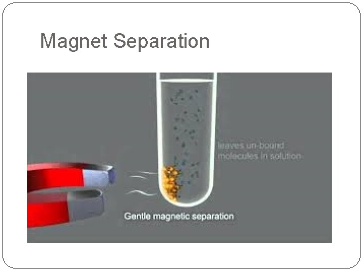 Magnet Separation 