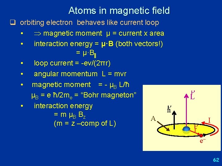 Atoms in magnetic field q orbiting electron behaves like current loop • magnetic moment
