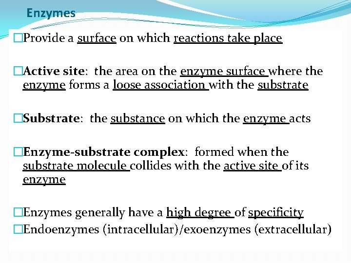 Enzymes �Provide a surface on which reactions take place �Active site: the area on