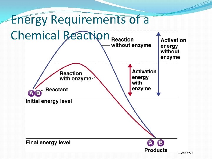 Energy Requirements of a Chemical Reaction Figure 5. 2 