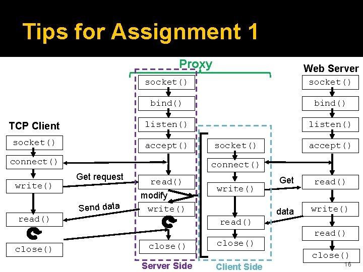 Tips for Assignment 1 Proxy Web Server socket() bind() TCP Client listen() socket() accept()