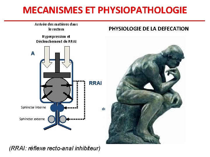 MECANISMES ET PHYSIOPATHOLOGIE Arrivée des matières dans le rectum PHYSIOLOGIE DE LA DEFECATION Hyperpression