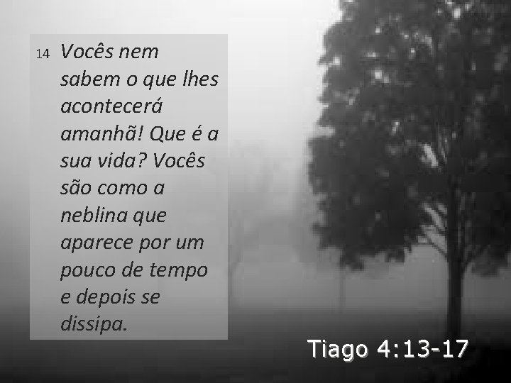 14 Vocês nem sabem o que lhes acontecerá amanhã! Que é a sua vida?