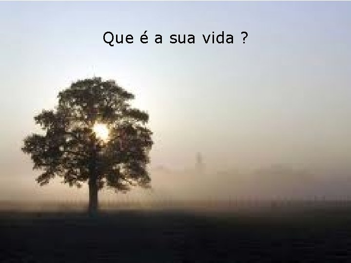 Que é a sua vida ? 