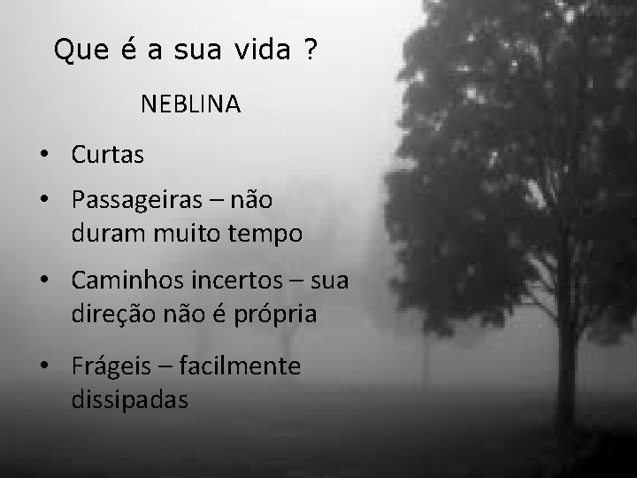 Que é a sua vida ? NEBLINA • Curtas • Passageiras – não duram