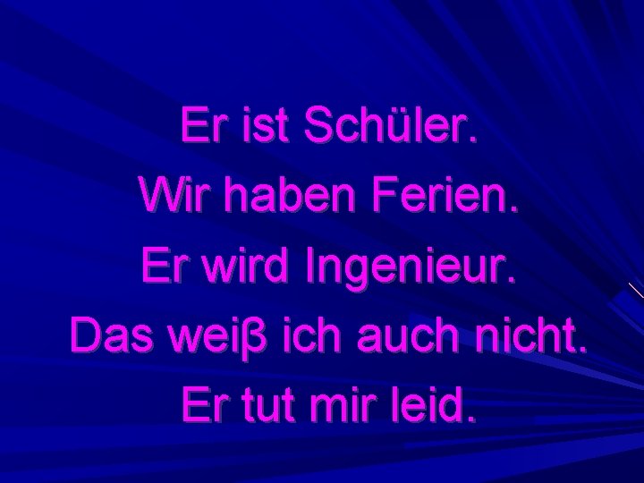 Er ist Schüler. Wir haben Ferien. Er wird Ingenieur. Das weiβ ich auch nicht.