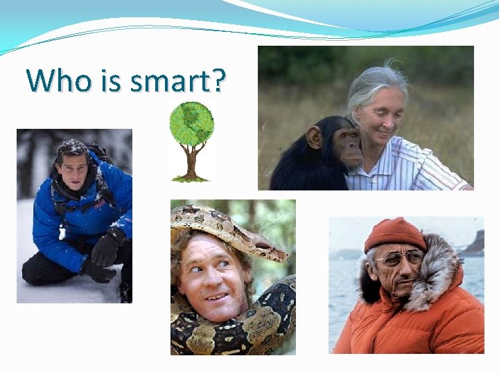 Who is smart? 