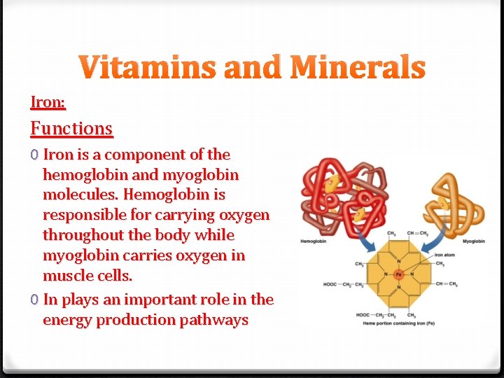 Vitamins and Minerals Iron: Functions 0 Iron is a component of the hemoglobin and