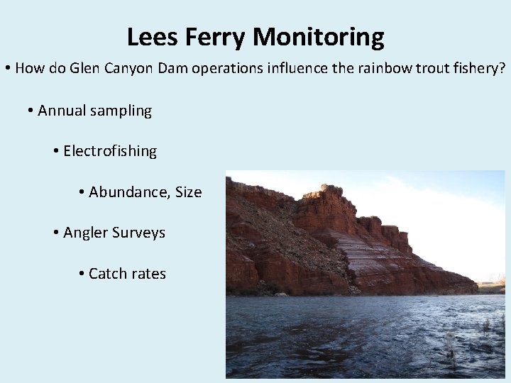 Lees Ferry Monitoring • How do Glen Canyon Dam operations influence the rainbow trout