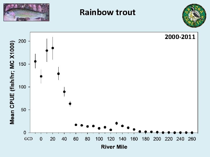 Rainbow trout 2000 -2011 GCD 