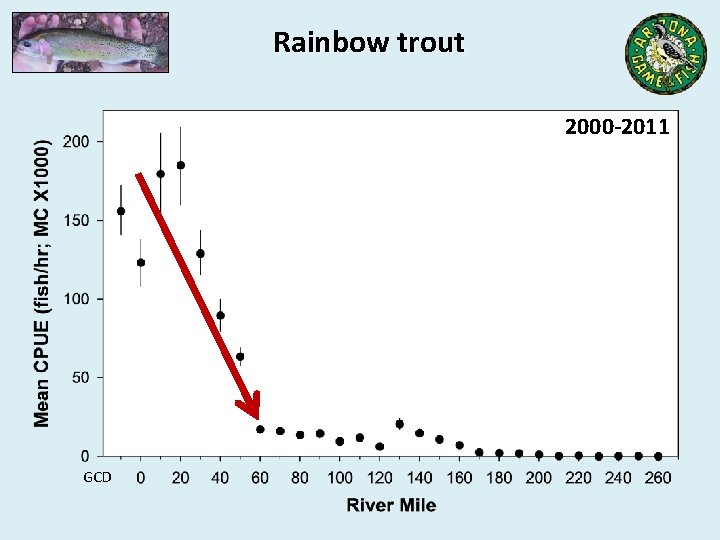 Rainbow trout 2000 -2011 GCD 