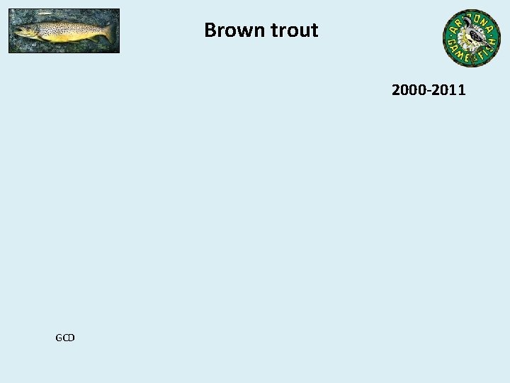 Brown trout 2000 -2011 GCD 