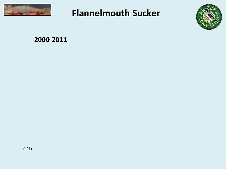 Flannelmouth Sucker 2000 -2011 GCD 