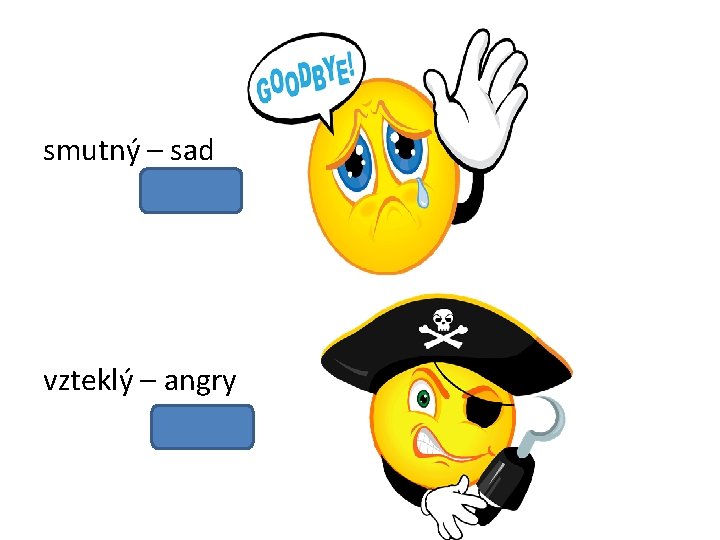 smutný – sad vzteklý – angry 