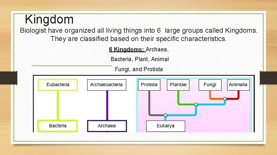 Kingdom Biologist have organized all living things into 6 large groups called Kingdoms. They