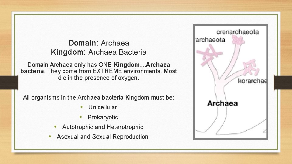 Domain: Archaea Kingdom: Archaea Bacteria Domain Archaea only has ONE Kingdom…Archaea bacteria. They come