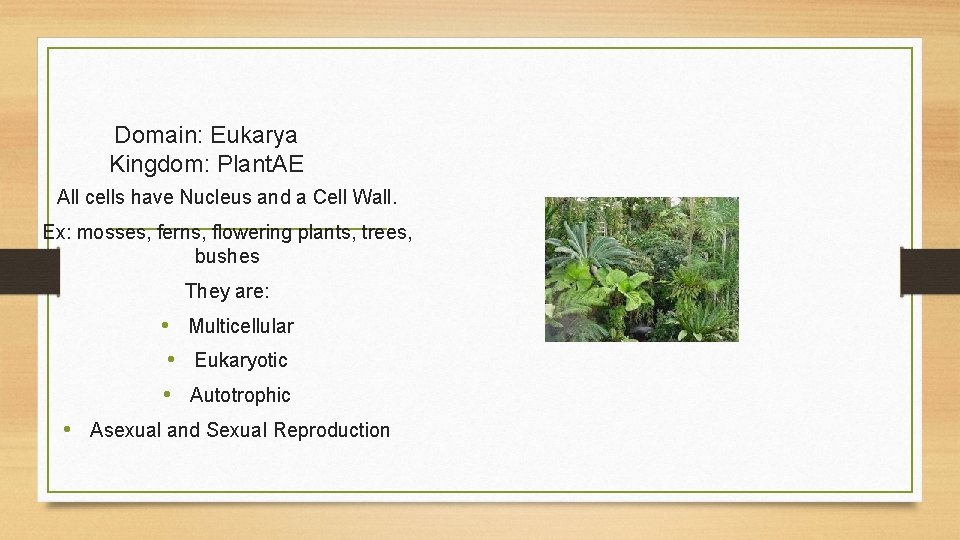 Domain: Eukarya Kingdom: Plant. AE All cells have Nucleus and a Cell Wall. Ex: