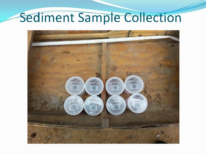 Sediment Sample Collection 