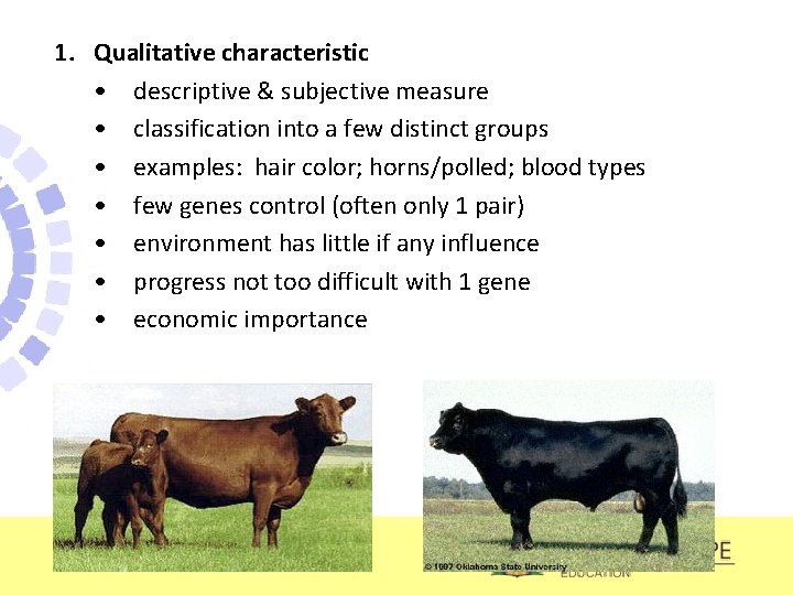 1. Qualitative characteristic • descriptive & subjective measure • classification into a few distinct