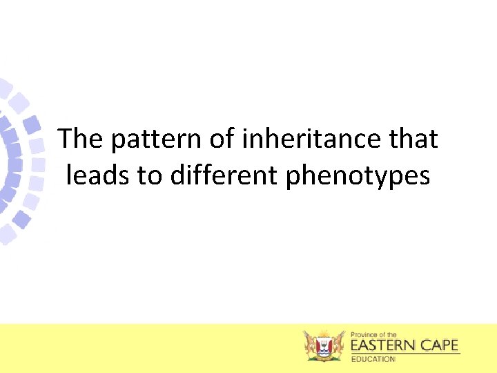 The pattern of inheritance that leads to different phenotypes 